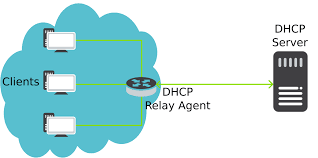 DHCP Option 常见取值及含义